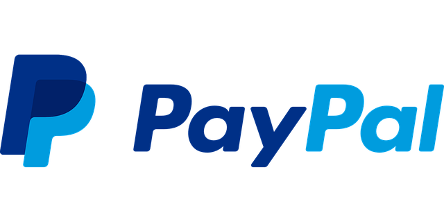PayPal ist ein beliebtes Zahlungssystem in Deutschland
